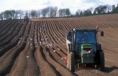 Farm Images